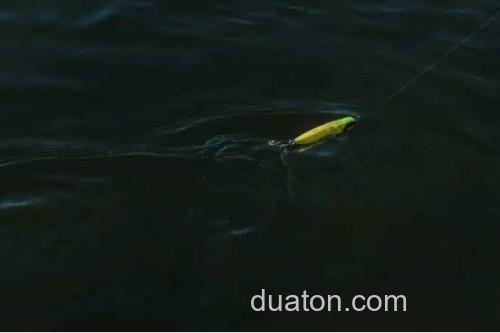远投!小!造波!!shimano Counterwake 80F 海鲈造波米诺_2