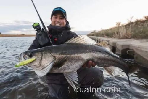 远投!小!造波!!shimano Counterwake 80F 海鲈造波米诺_4