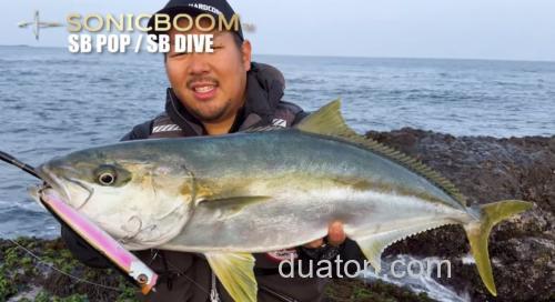 爆炸的飞行距离！DUEL SONICBOOM SB POP（F）海用水面系_1