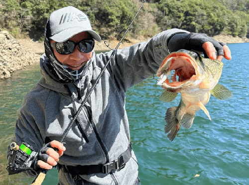 imakatsu 2024新饵(1)_5
