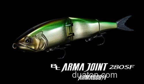 大个头!shimano Arma joit 280_0