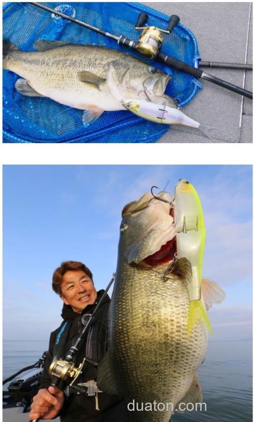 大个头!shimano Arma joit 280_3