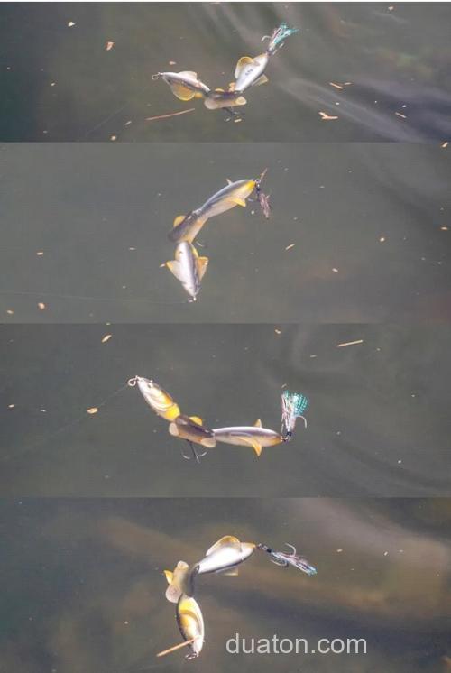 Imakatsu 十年磨一剑!超级抽象水面扰流 UMA死亡之卷_6