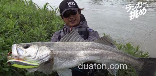 强烈刺激!DUO ROUGH TRAIL MAKIFLAT 155F 海鲈大饵_2