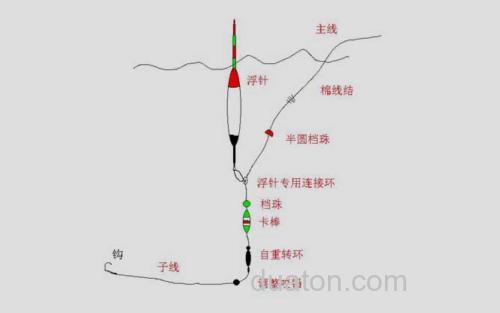 浮游线组_2