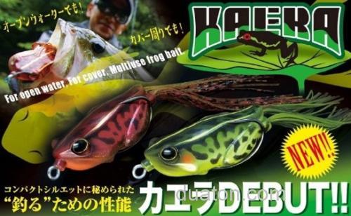 夏至“面”Jackall NEW KAERA_0