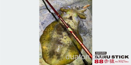 新品追加 HAYASHI SARUSTICK(餌木猿)88赤猿 饵木鱿鱼竿_3