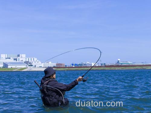 性价海鲈竿今夏登场!DAIWA 2024 LATEO 海鲈竿_7