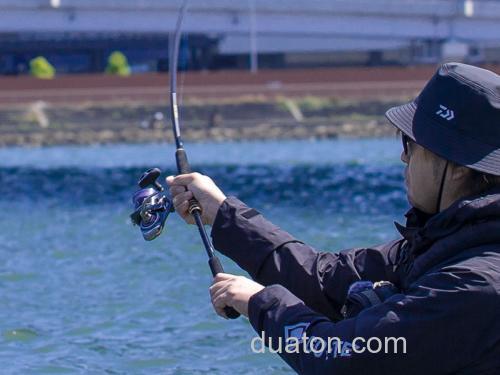 性价海鲈竿今夏登场!DAIWA 2024 LATEO 海鲈竿_8