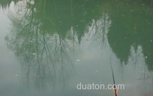 水库钓鱼_2