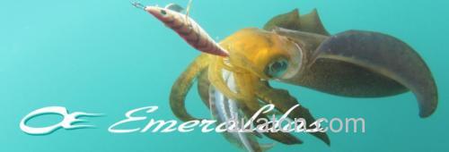 超轻量 DAIWA EMERALDAS AIR AGS 乌鱼竿_0