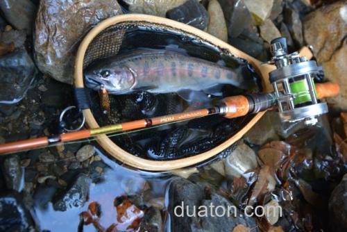 古风 Abu Garcia CONOLON 泛用鳟鱼竿_3