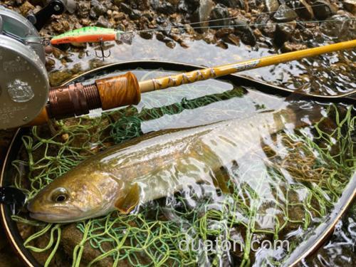 Bait Finesse玩味!Tiemco FS53CL-3J _0