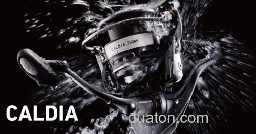 2014 中级泛用 DAIWA CALDIA 纺车轮_0