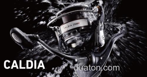 daiwa caldia_0