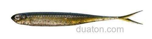 Fisharrow Flash-J SPLIT ABALONE 3″/4″_1