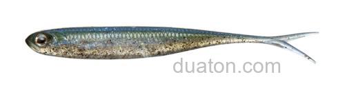 Fisharrow Flash-J SPLIT ABALONE 3″/4″_2
