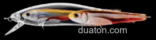 清水攻略Livetarget EMERALD SHINER Jerkbait_6