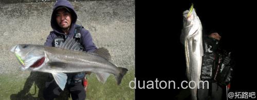 浅场鲈攻 MEGABASS X-80SW Shallow_1