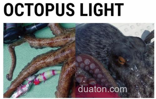 性价款 Tailwalk OCTOPUS LIGHT 章鱼竿_0
