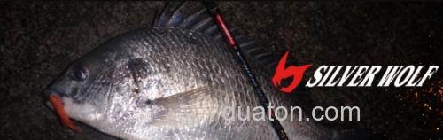 黑鲷专用竿 DAIWA SILVER WOLF MX_0