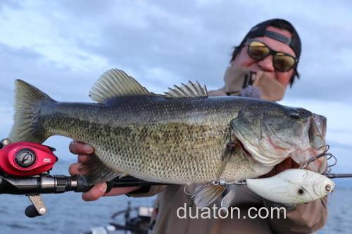 强力火箭!AbuGarcia 2020 REVO BEAST ROCKET 水滴轮_1