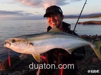 咸水实惠机型 DAIWA BLAST 纺车轮_2
