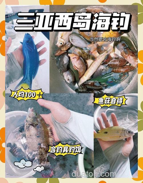 西岛海钓技巧:什么鱼多、用什么饵、哪个位置最好