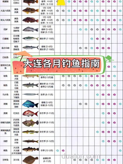 2026大连海钓新规,三月这些钓点鱼最多