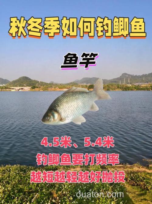 青海大学周边野钓鲫鱼地点与装备选择指南,新手也能有收获