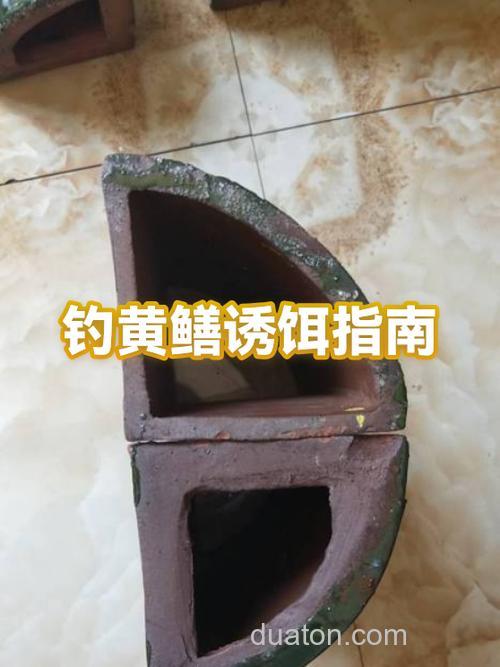 近海钓黄鳝全攻略:装备选择与最佳时机详解