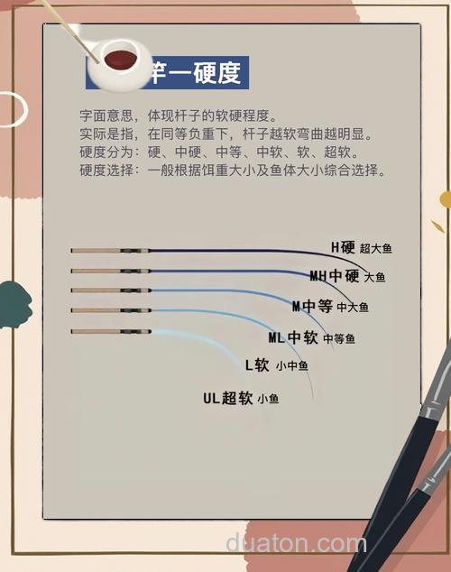 长杆台钓技巧教学:新手如何选择钓竿长度与环境搭配
