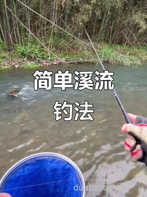 溪流台钓新手技巧与装备入门:选竿、配线、用饵全攻略