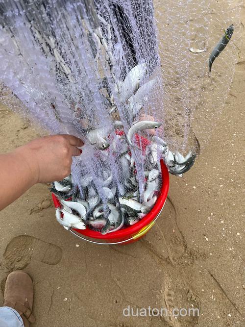 海钓抓黄金三秒刺鱼,手刹轮这样用才不跑鱼