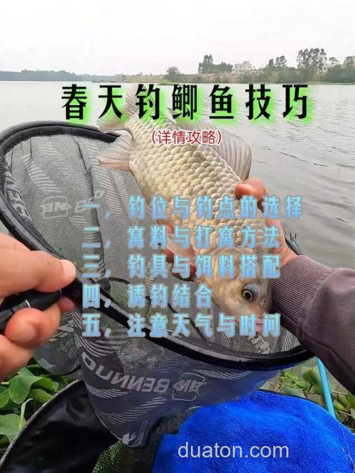 春季河里野钓鲫鱼技巧,选钓位用饵料全解析