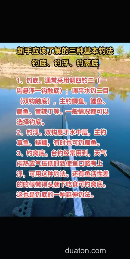 随州台钓技巧解析:钓点选择与饵料配方实战指南