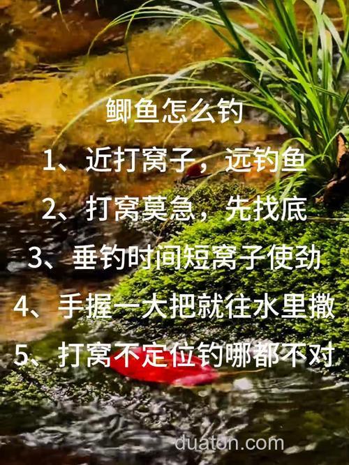 流水河野钓鲫鱼技巧,选对钓位用对饵料