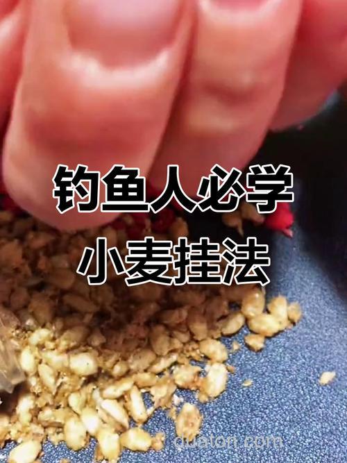 麦子钓鲫鱼技巧:避开小鱼专攻大鲫鱼,野钓必学省钱妙招