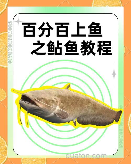 夏季夜钓鲶鱼的实战技巧(下)