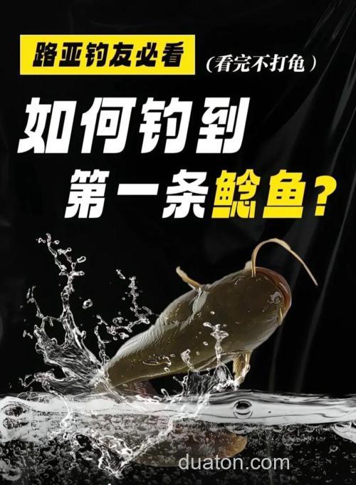 浅谈鲶鱼的传统钓法与路亚方法(下)