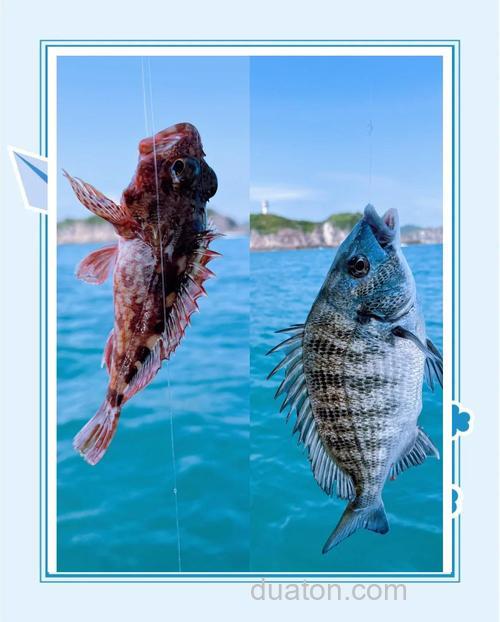 海钓组队找靠谱队友的3个技巧,这样分工满载而归更安全