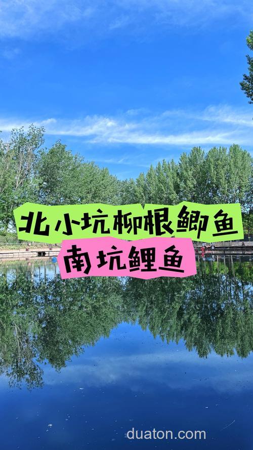 石家庄野钓去哪?找靠谱本地群学技巧,避开禁钓区更安心
