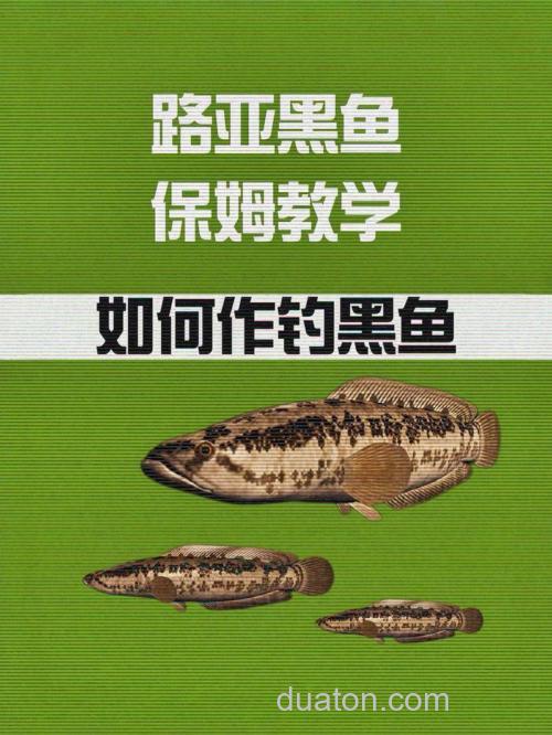 黑头鱼怎么钓?老手分享3大实战技巧,选点装备一次说清