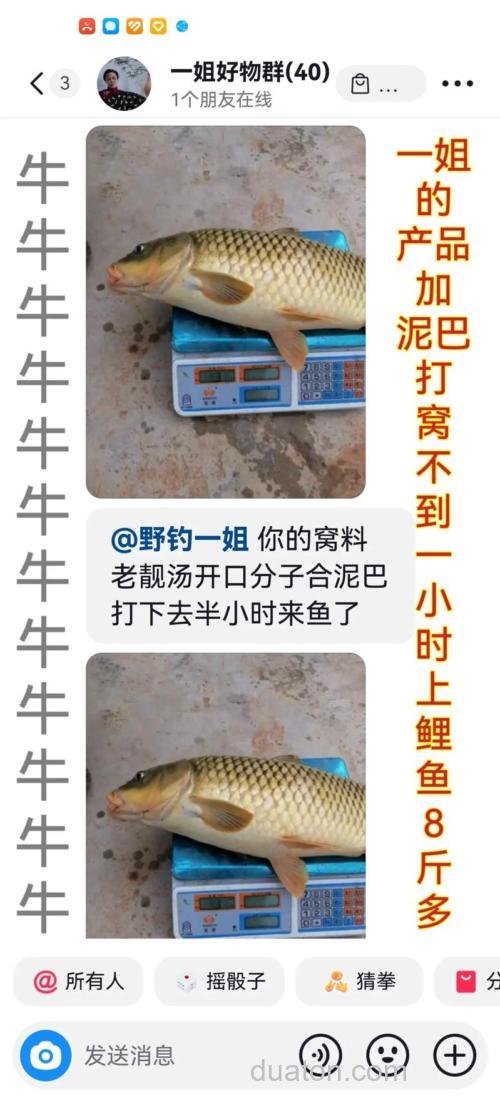 巧设草窝诱钓大草鱼的技巧