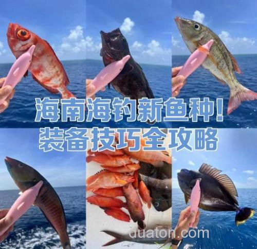 海南沿海钓马鲛鱼有啥技巧?装备、钓点、手法全解析
