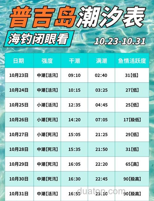海钓选点有啥技巧?看潮汐、地形,还得懂鱼习性