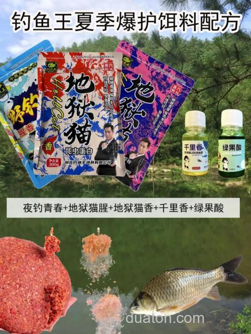 夏日鲫鱼王,饵料与钓法全攻略