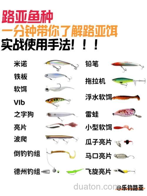 三合一钓鱼饵料盘安装全攻略,从入门到精通的详细指南