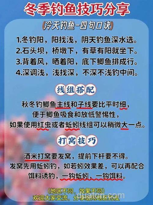 冬季南方钓草鱼的钓位选择和饵料搭配技巧