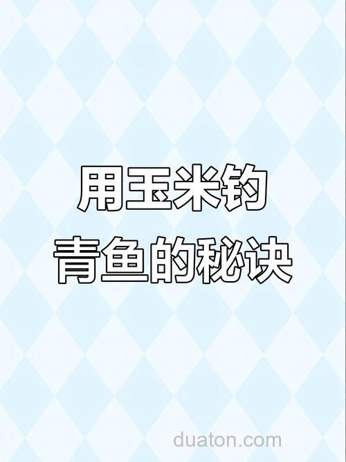 钓青鱼用玉米饵如何调钓?